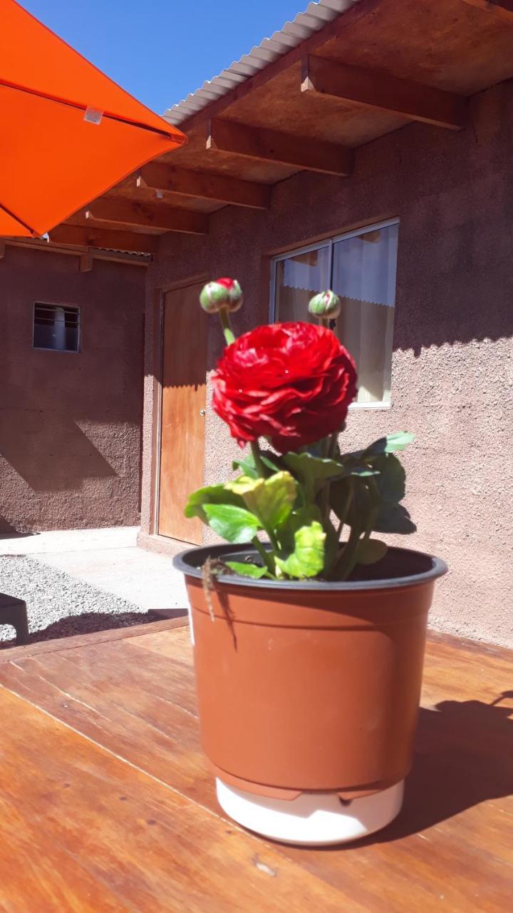 Hostal Open House San Pedro de Atacama Eksteriør bilde
