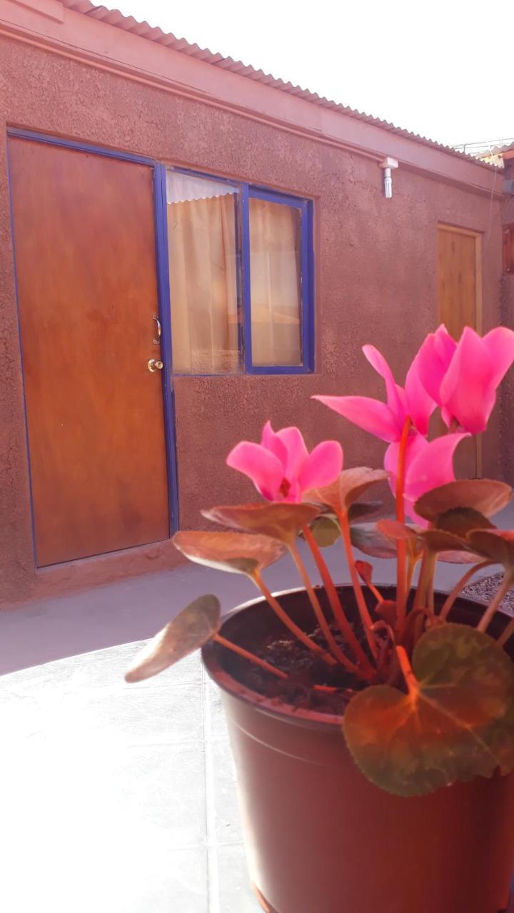 Hostal Open House San Pedro de Atacama Eksteriør bilde